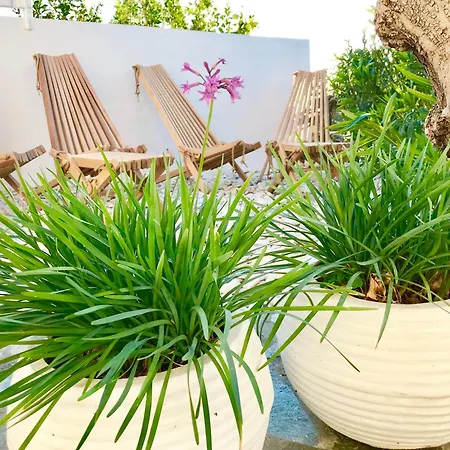 Apartament Almyrida Sands *